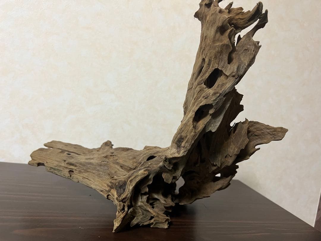 XM-197 流木　マシンガンウッド　アクアリウム　ブランチウッド　沈水確認済