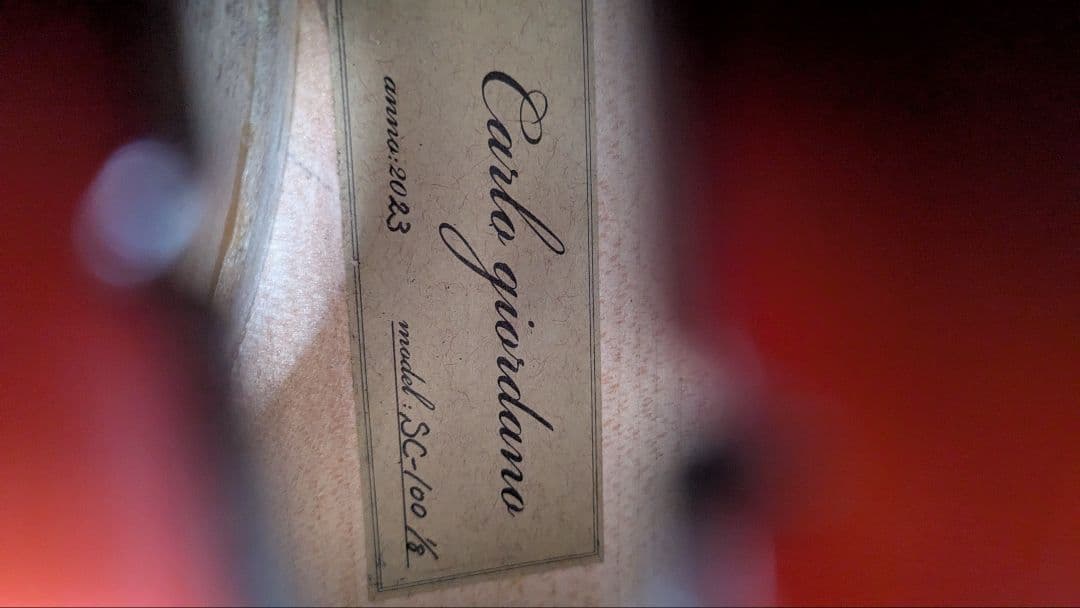 チェロ カルロジョルダーノ 1/8　ソフトケース付き