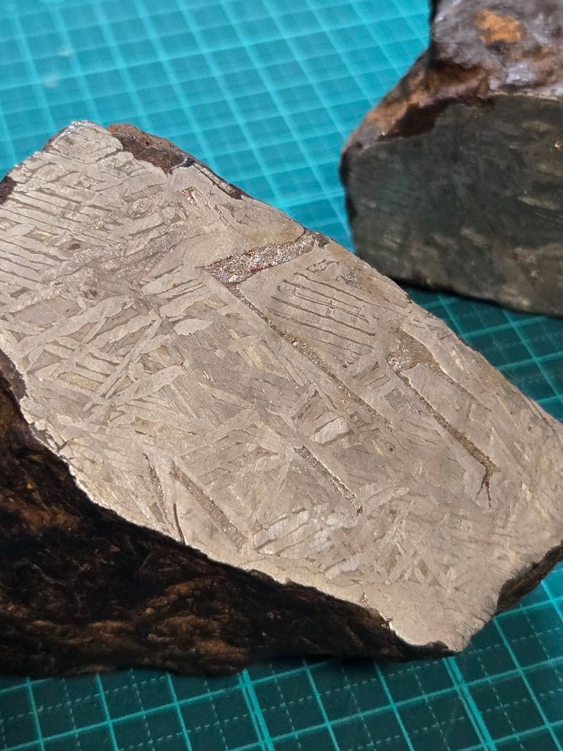 アルタイ隕石　鉄隕石　2870g