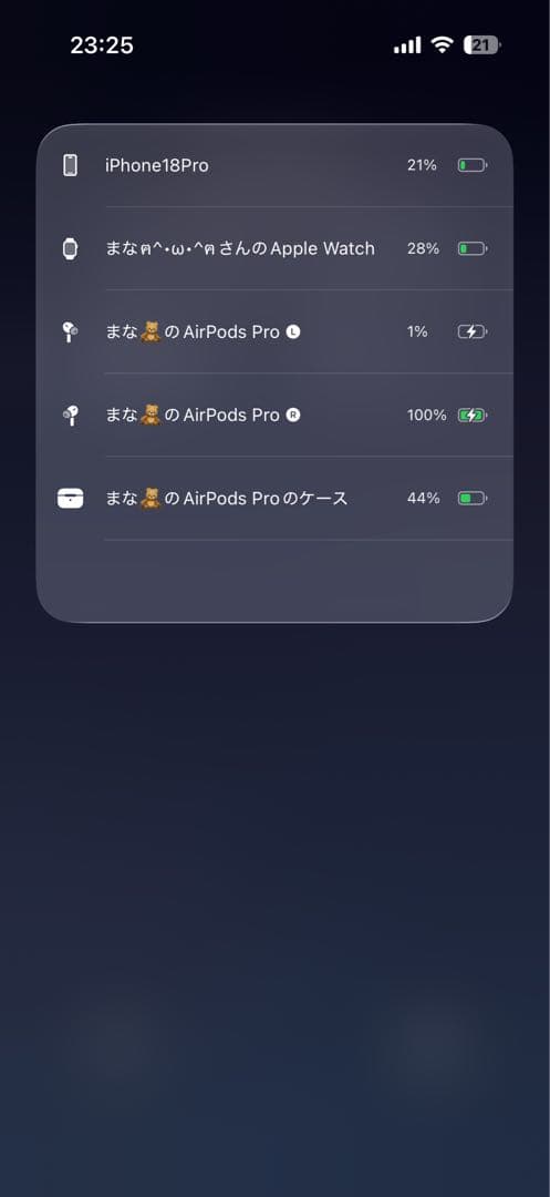AirPodsPro2 ライトニング AirPods Pro2