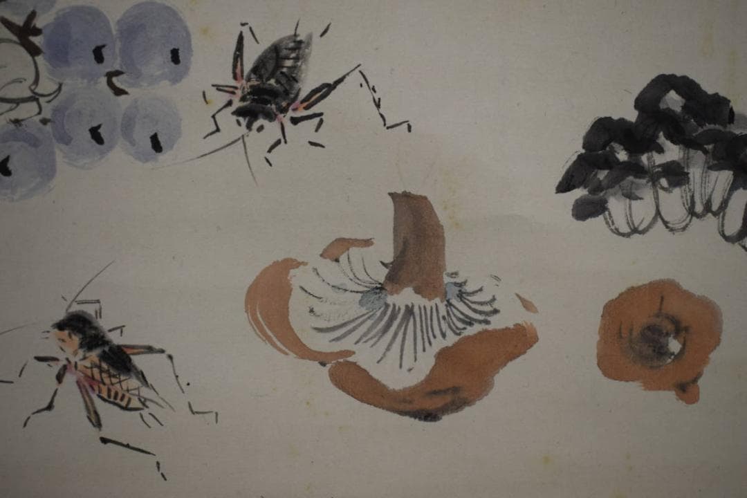 真作/小室翠雲/秋花茄子図/大幅/布袋屋掛軸HH-624