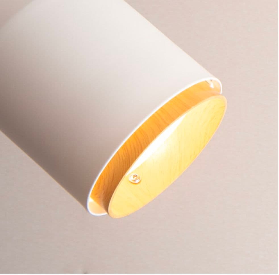 ダクトレール用スポットライトGino　6個入（白）