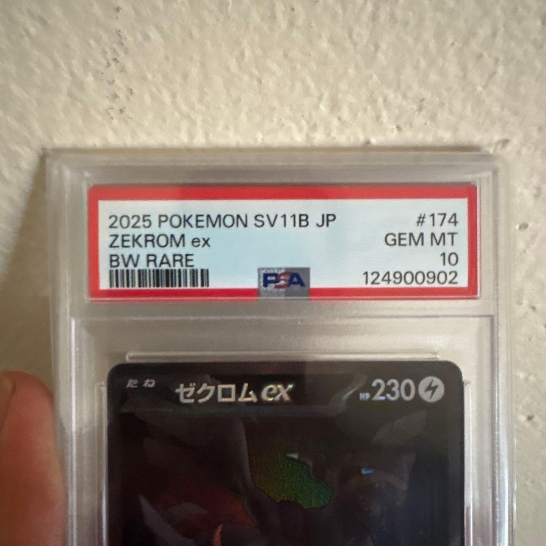 ゼクロムex PSA 10 BW RARE