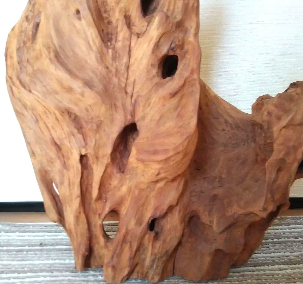 鹿児島県　天然木　オブジェ　置物　切り株