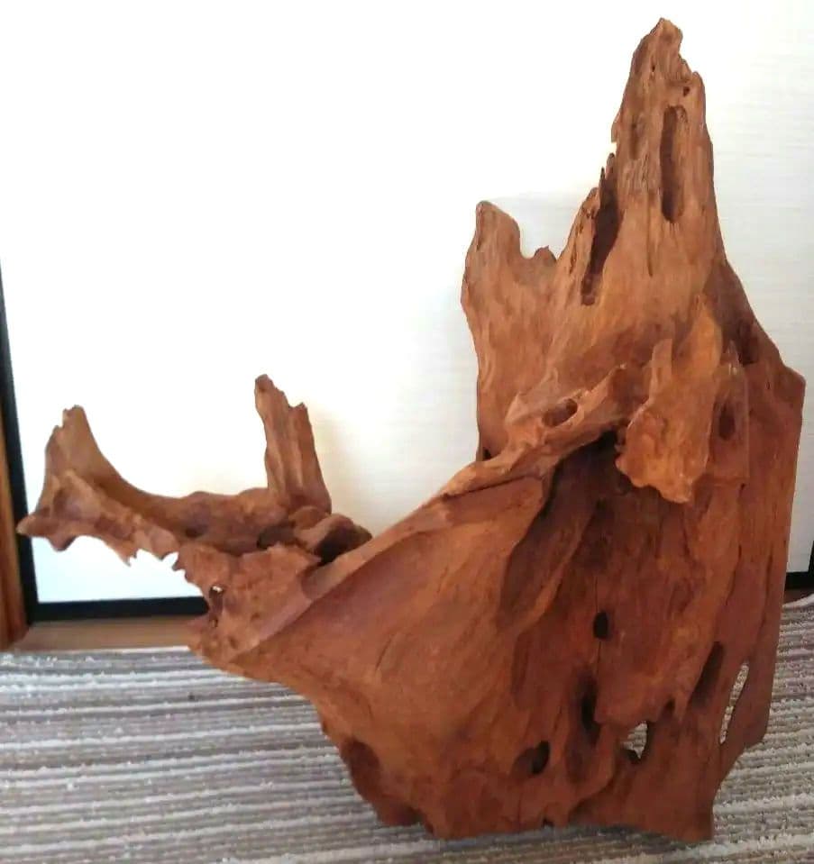 鹿児島県　天然木　オブジェ　置物　切り株