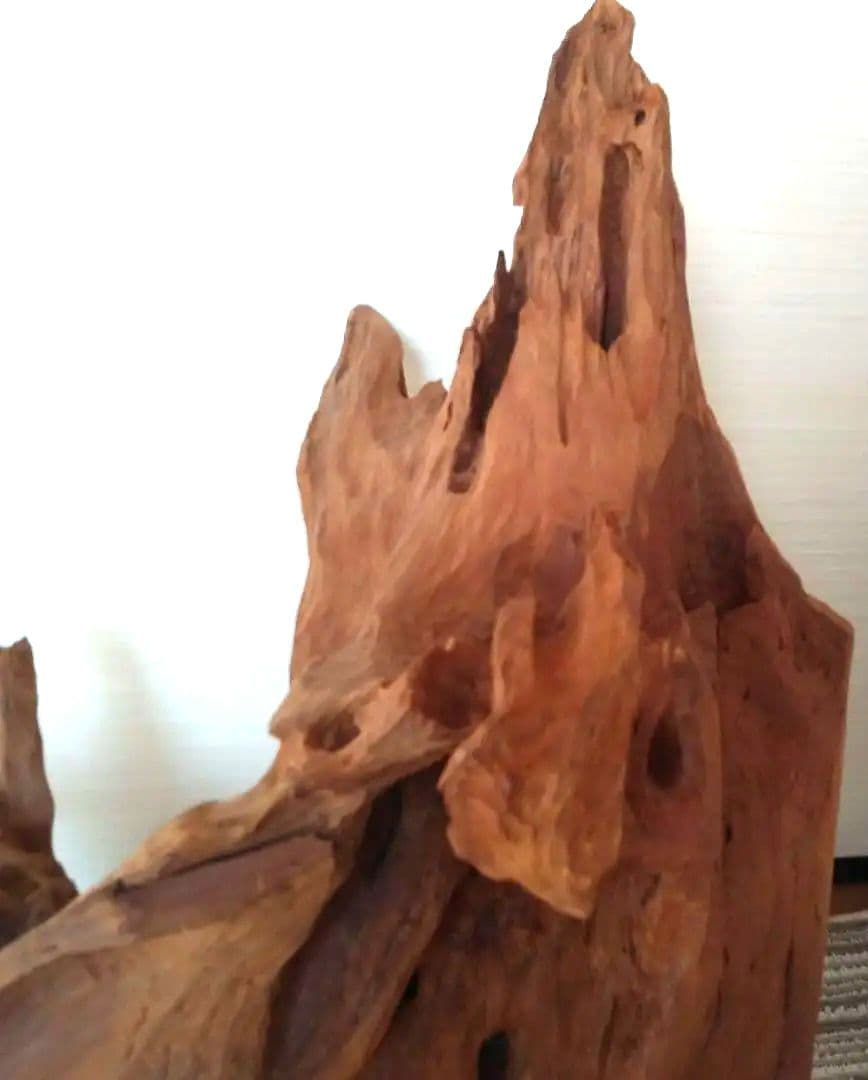 鹿児島県　天然木　オブジェ　置物　切り株