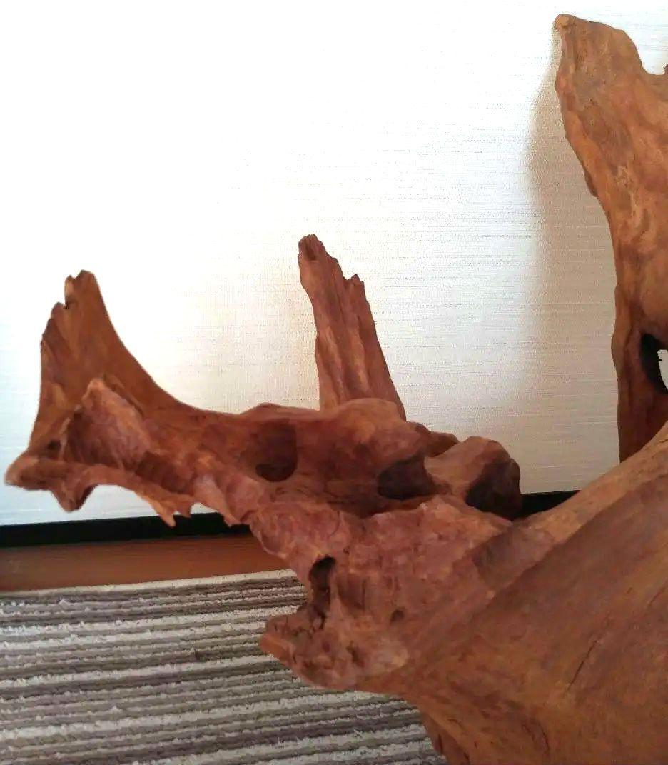 鹿児島県　天然木　オブジェ　置物　切り株