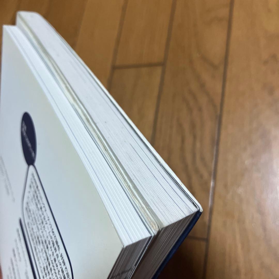 美少女ゲームの臨界点　「波状言論」臨時増刊号　東浩紀