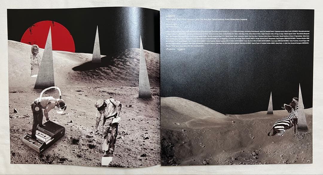 the HIATUS ANOMALYアナログ　レコード