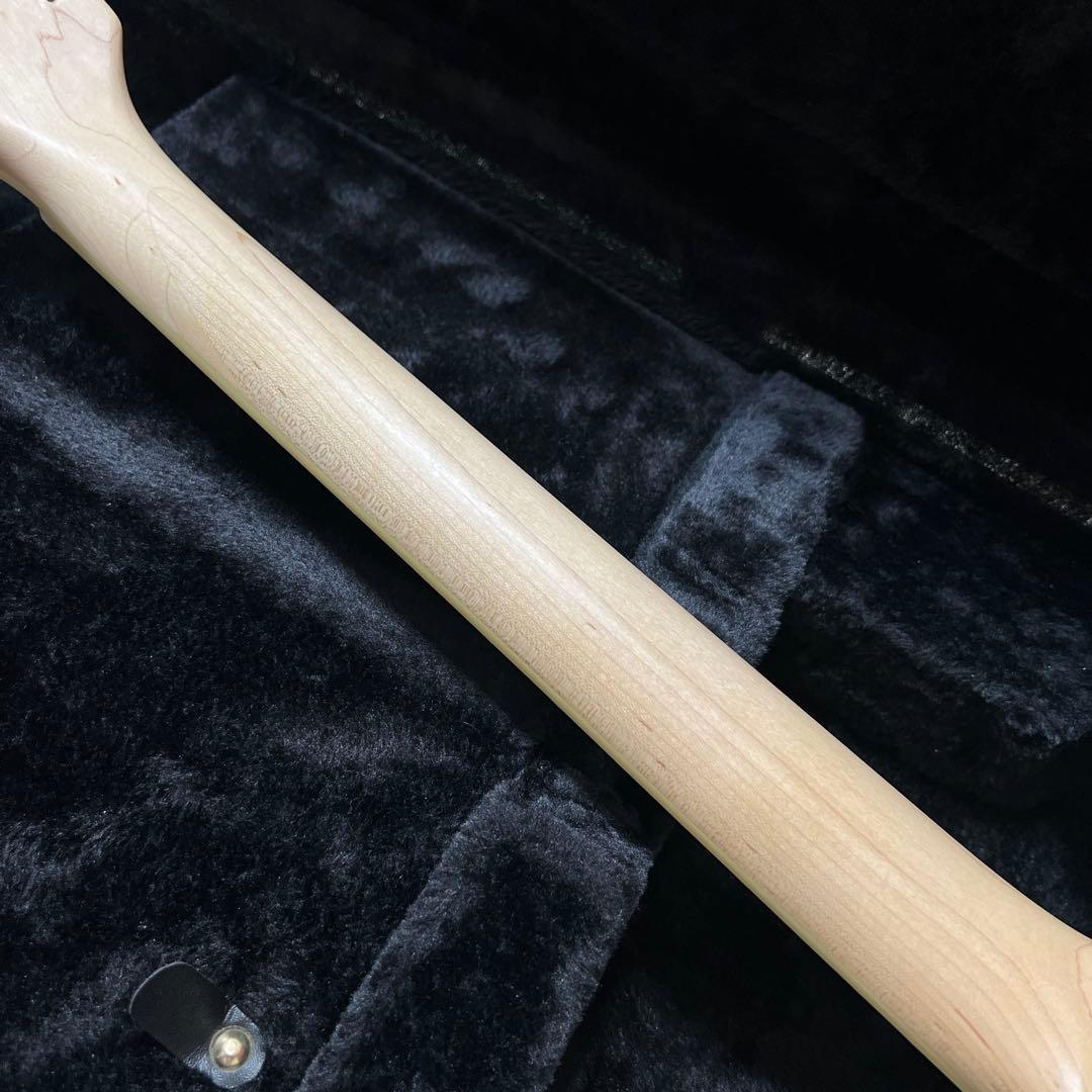 Eastwood Surfcaster サーフキャスターモデル