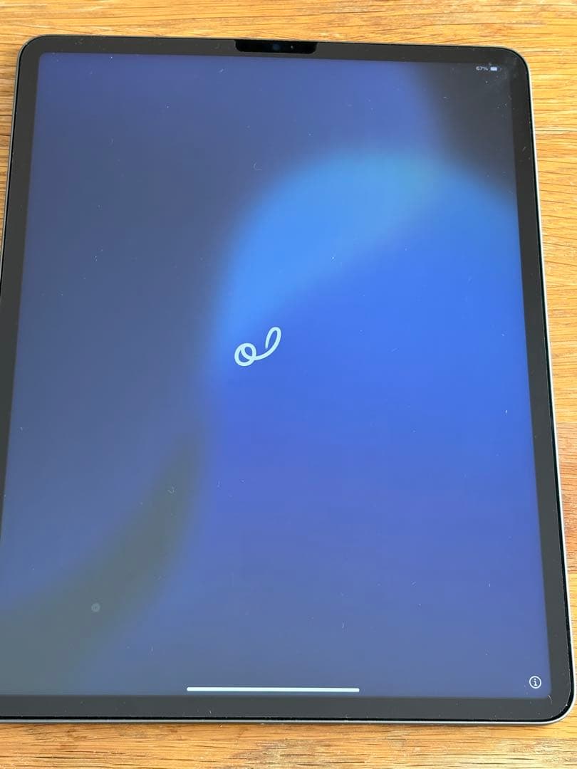 12.9インチiPad Pro Wi-Fi 256GB WiFiモデル ジャンク