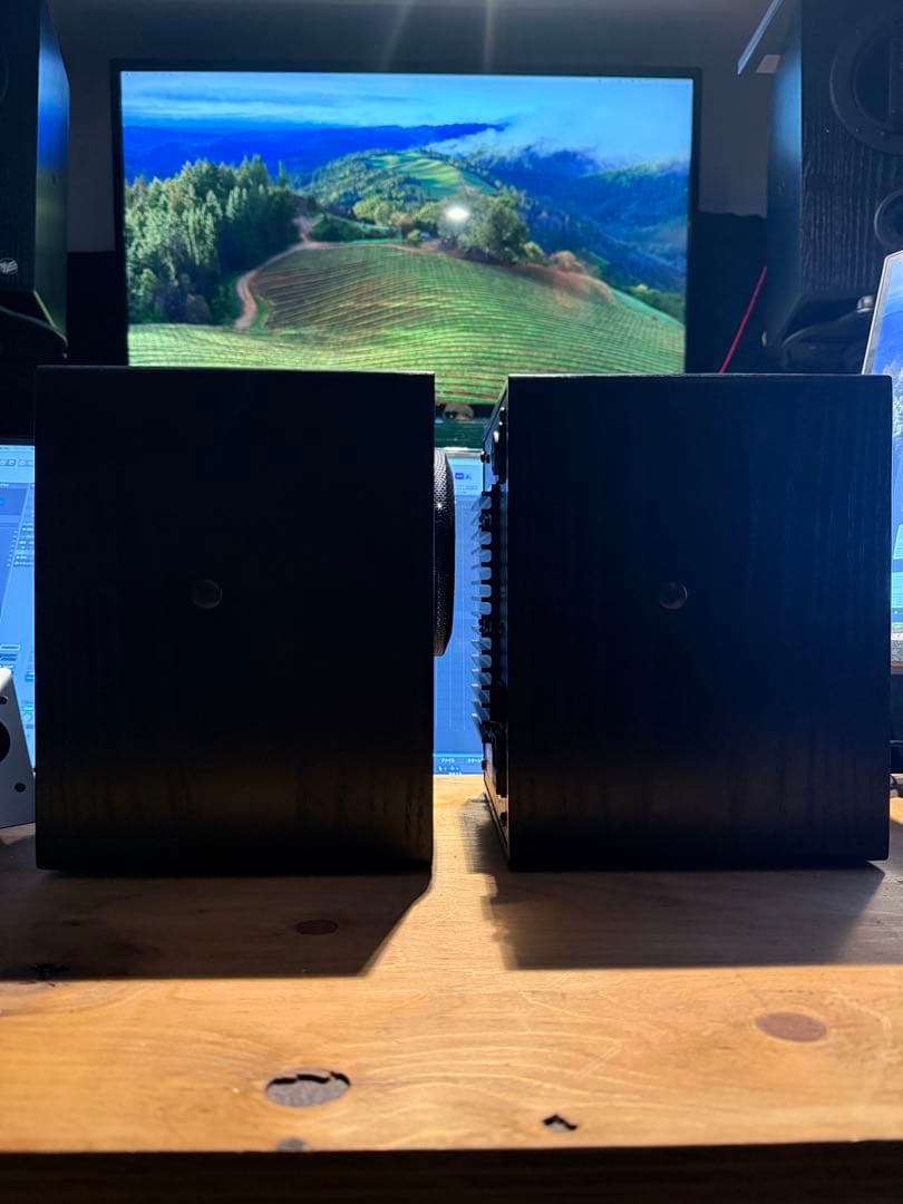 musikelectronics geithain RL906 ペア連番