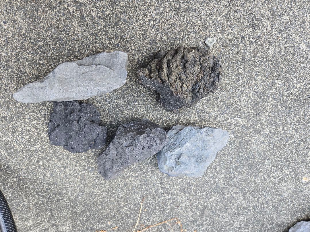 青龍石　アクアリウム水槽用セット