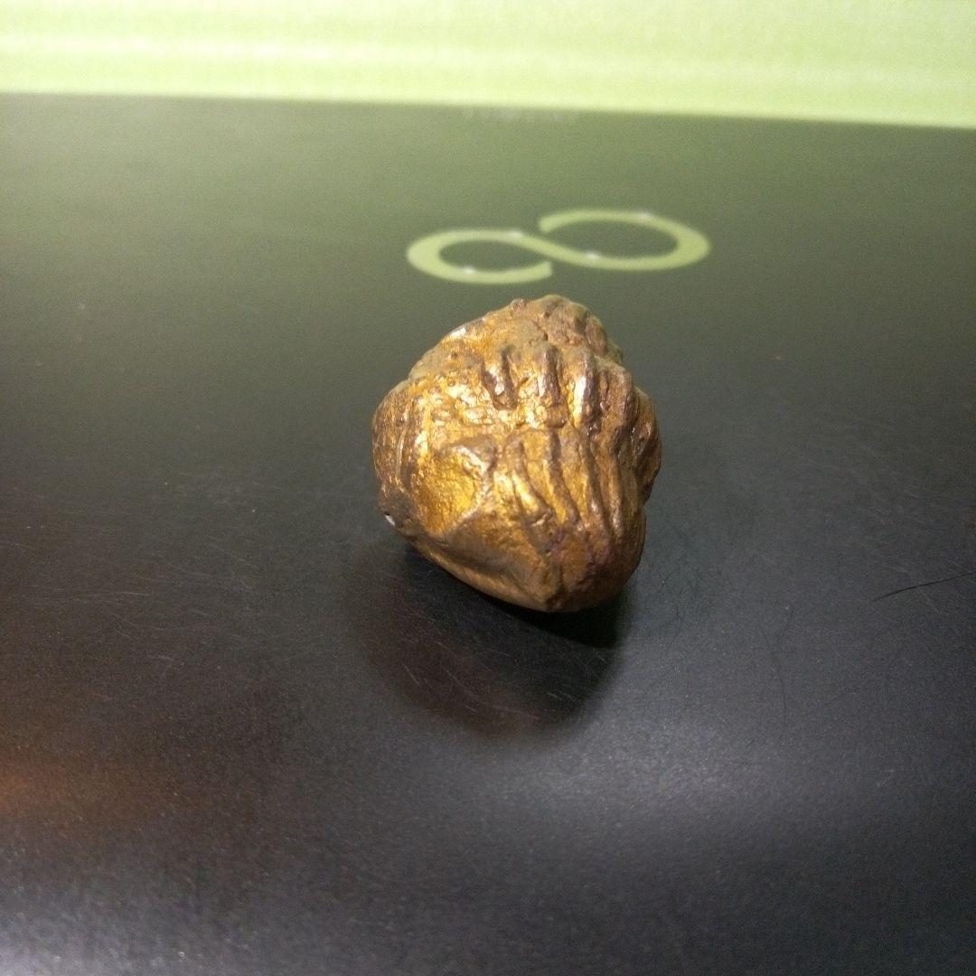 三葉虫　化石　fossil　ボリビア産　レア　Fossil管理⑤