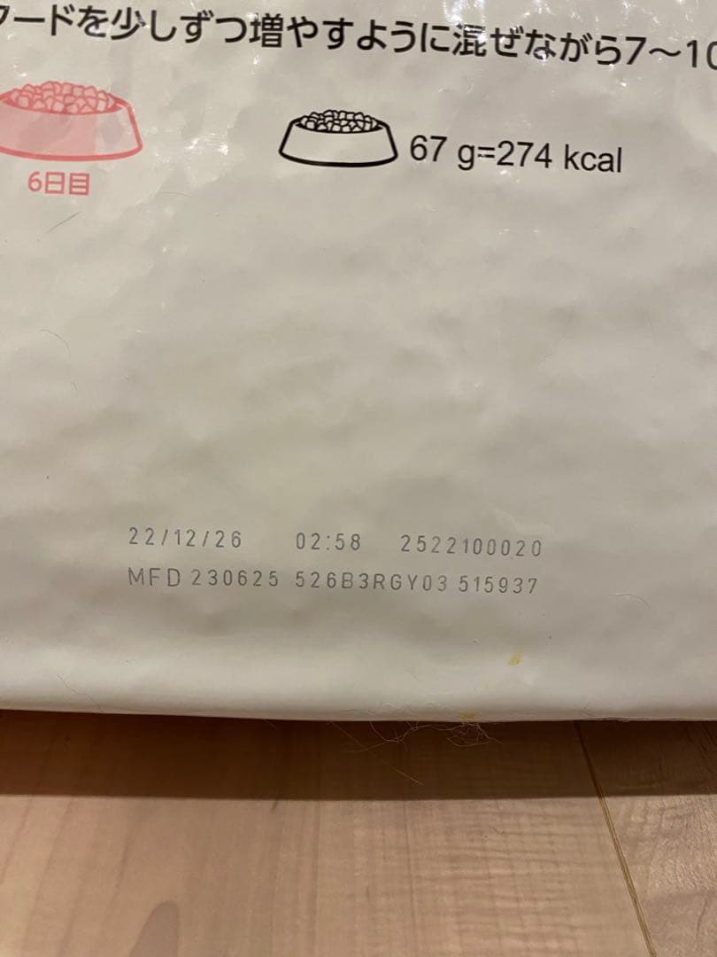  CANIN 子猫用ドライフード　キトン 10kg