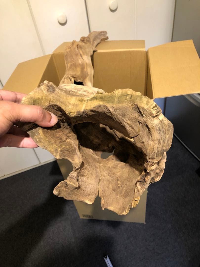 特大流木 水槽用レイアウト用品　現在交渉中