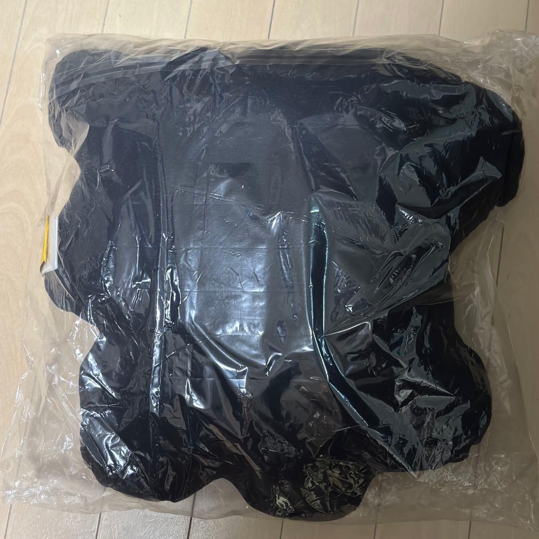 新品未使用 HYPEBEAST リザードン クッション ポケモン POKEMON