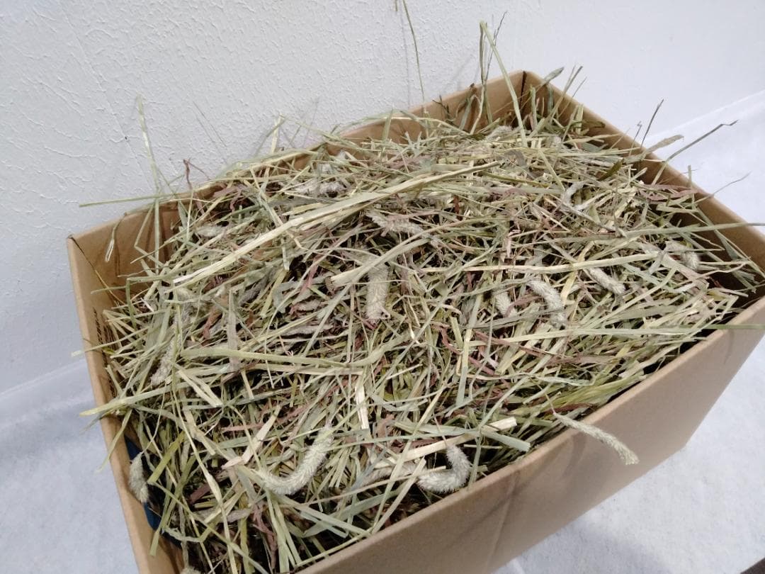 (2/23まで) カナダ産 チモシー 120kg スーパープレミアム １番刈