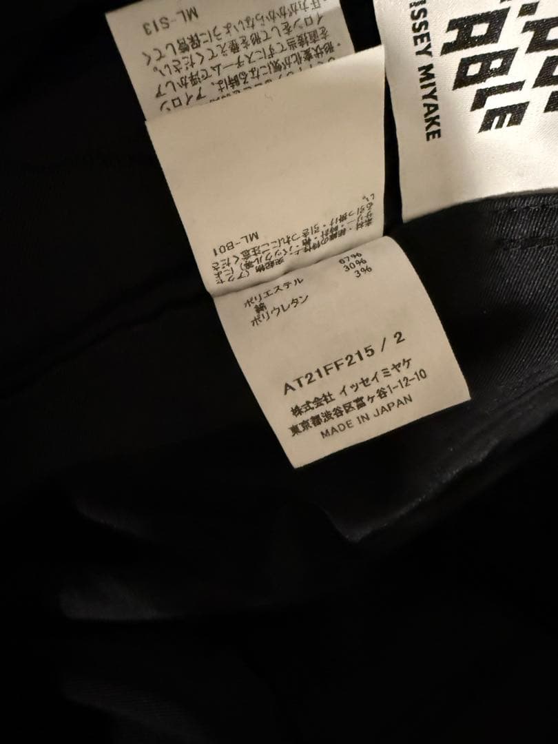 ISSEY MIYAKE A-POC ABLE パンツ　ブラック　サイズ2