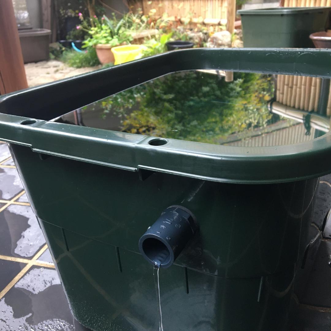 メダカ飼育ケース 36㍑x5個（4色あり） オーバーフロー めだか飼育容器 金魚