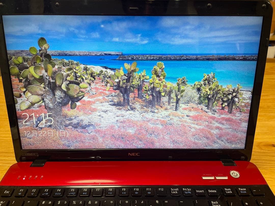 NEC LaVie ノートパソコン　LS550/F