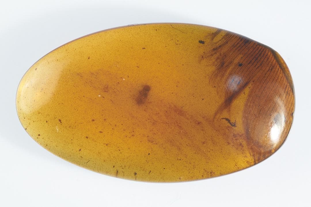 レア極上品 PA0078虫入り琥珀化石　ミャンマーカムティかタナイ9900万年前