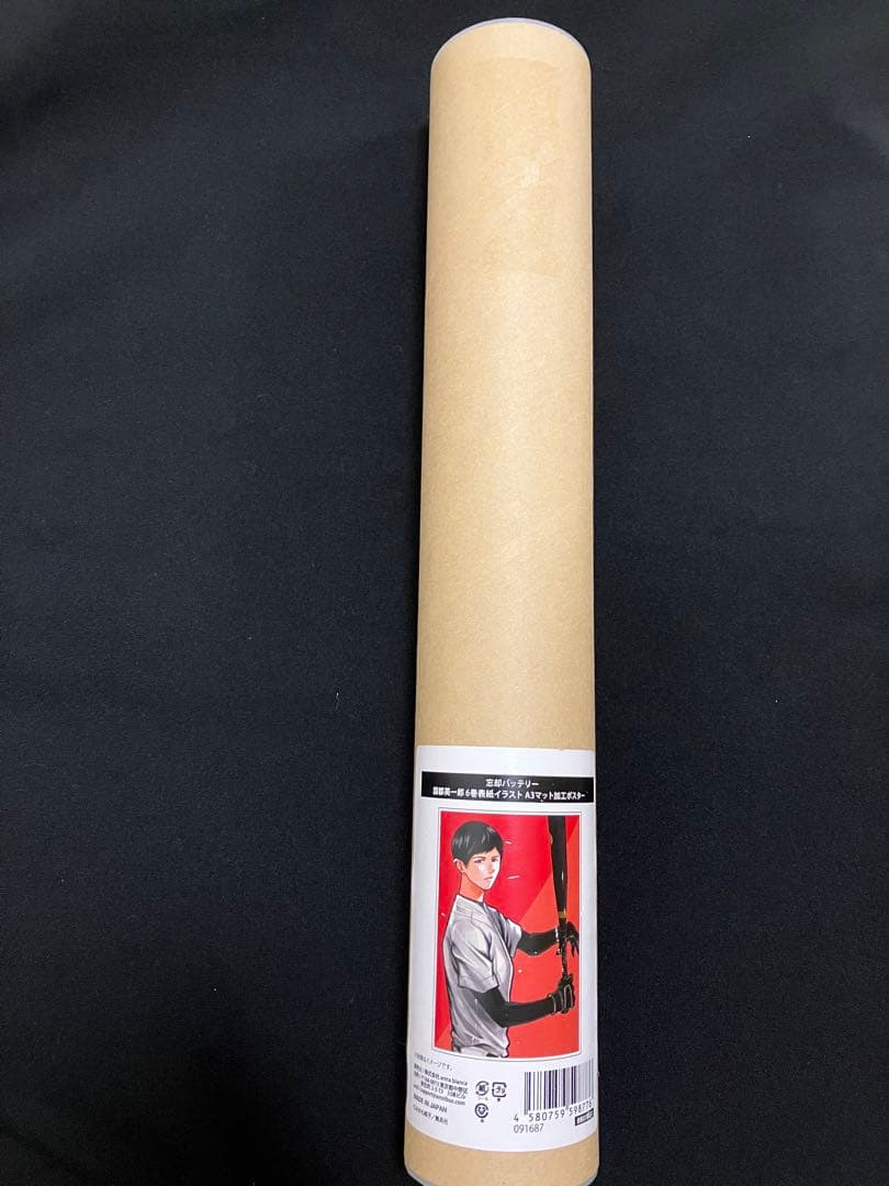 忘却バッテリー A3マット加工ポスター 国都英一郎 6巻表紙イラスト 原作