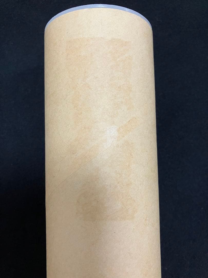 忘却バッテリー A3マット加工ポスター 国都英一郎 6巻表紙イラスト 原作