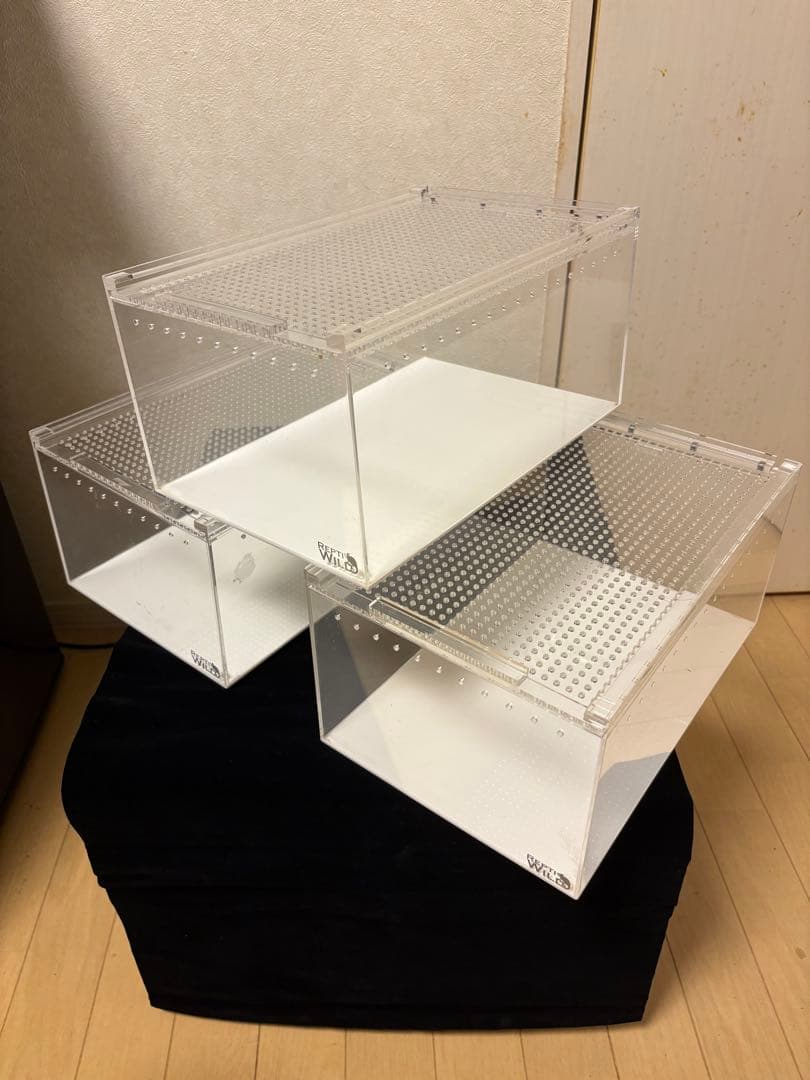 REPTI WILD レプタイルボックス