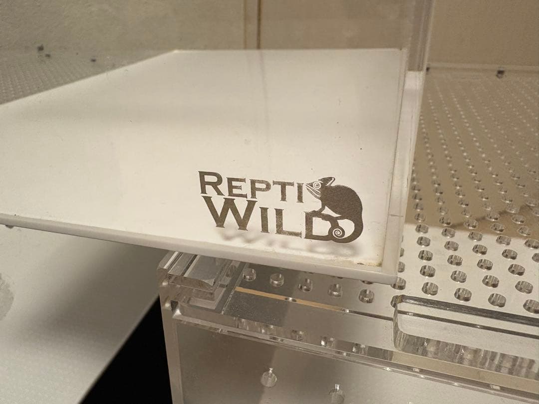 REPTI WILD レプタイルボックス