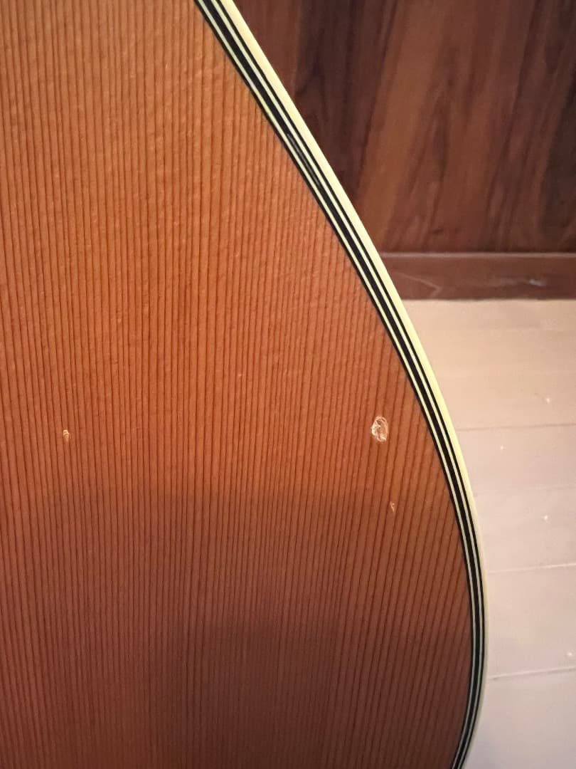 TAKAMINE NPT-110 エレガット