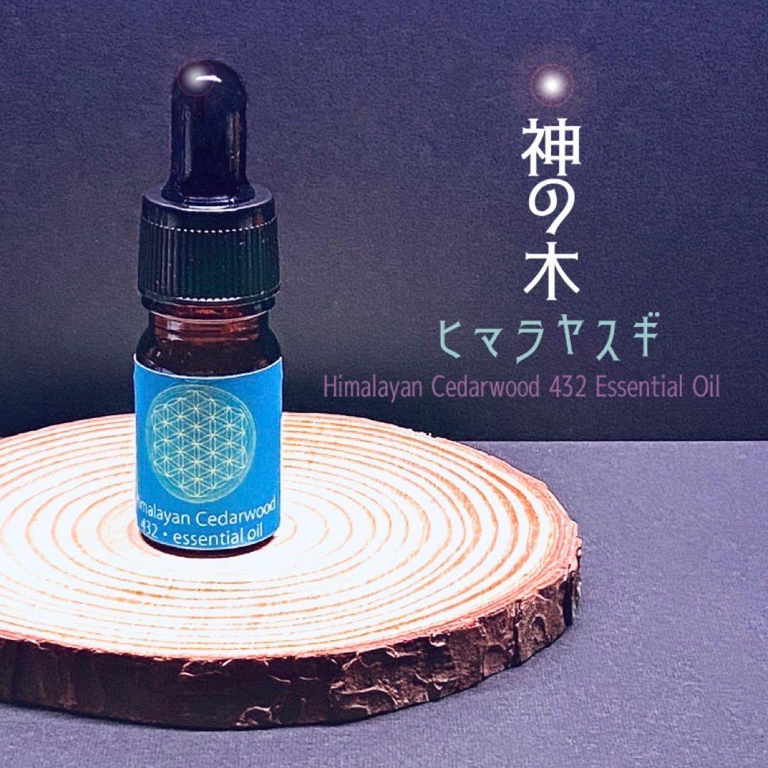 kingyonokinchan 【3点】