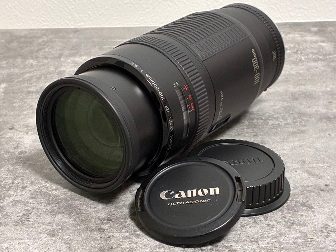 ⭐️美品⭐️キャノン Canon EF 100-300 F5.6 超望遠レンズ