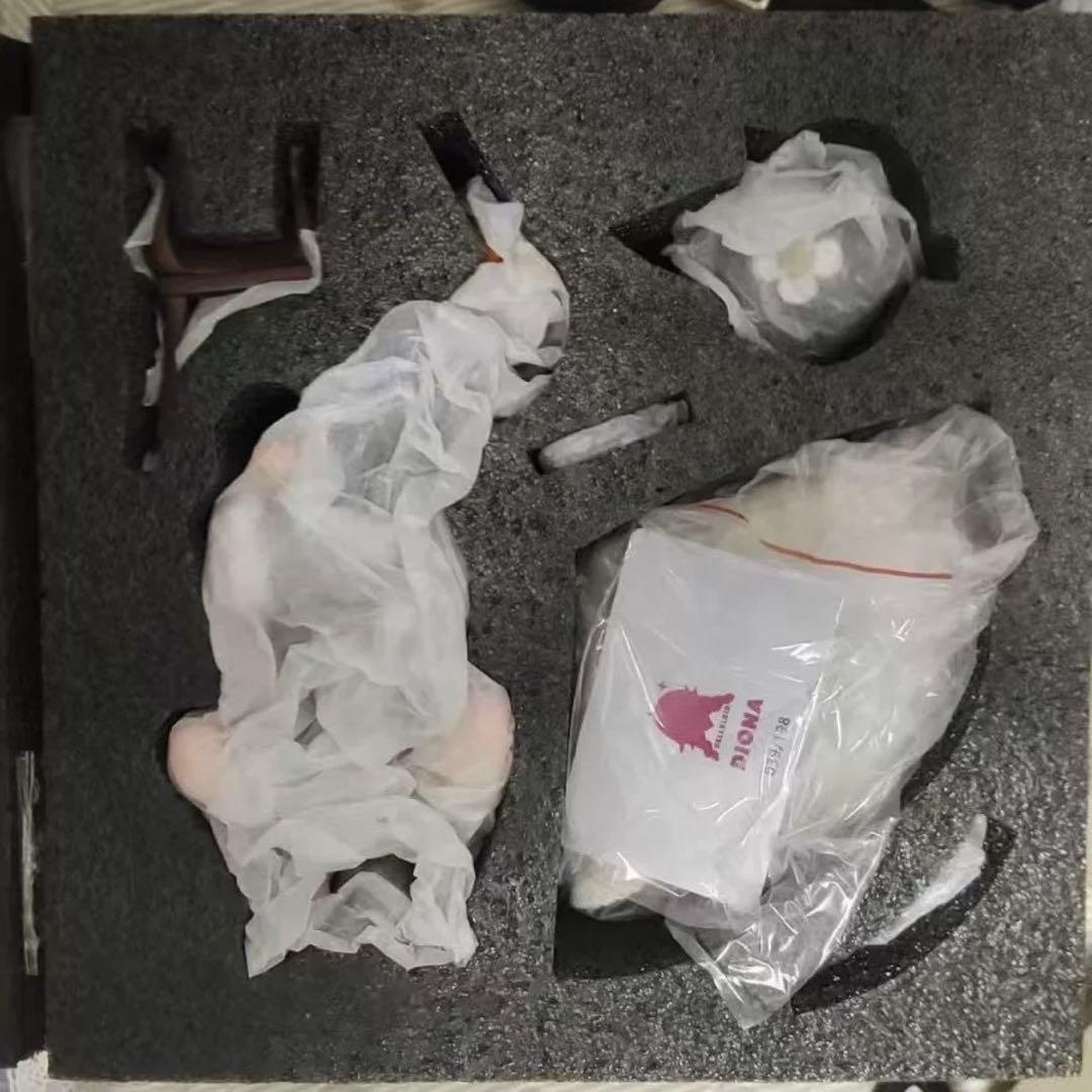 原神 ディオナ Celluloid フィギュア ガレージキット ガレキスタチュー