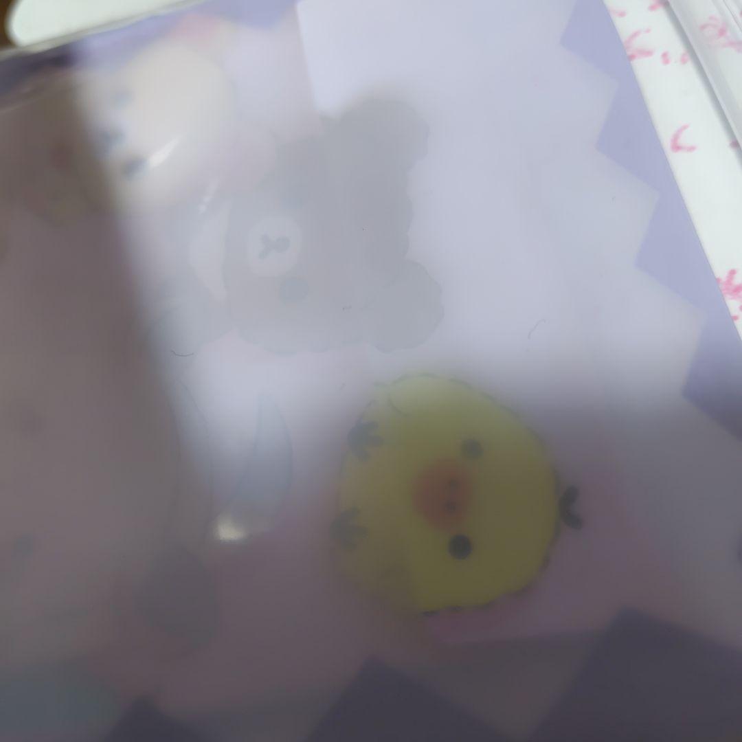 せってチェキ 55枚