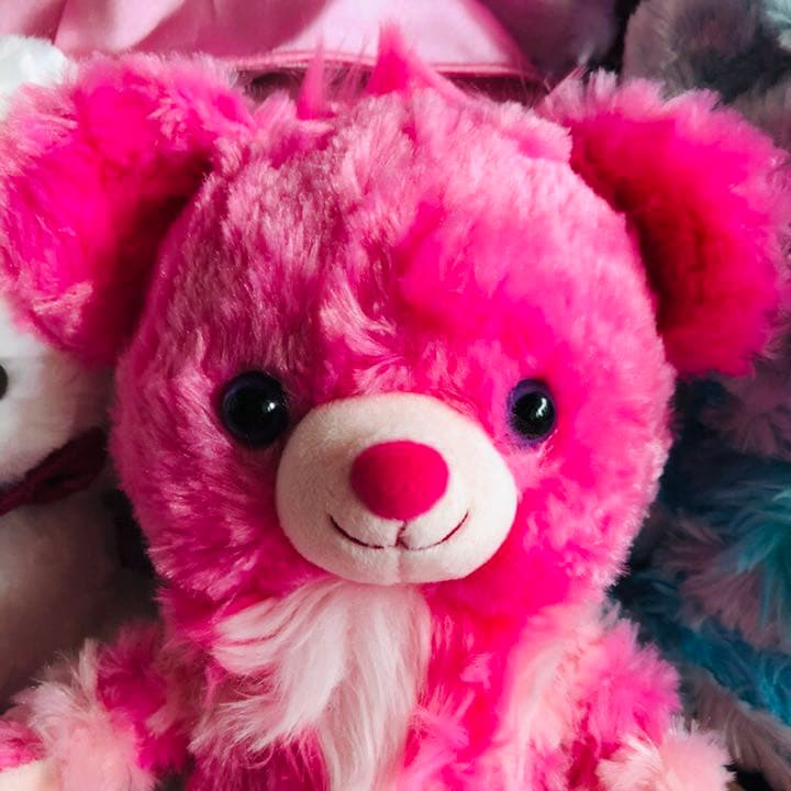 【全てタグ付き】ディズニーストアー ユニベア 5周年 不思議の国のアリス