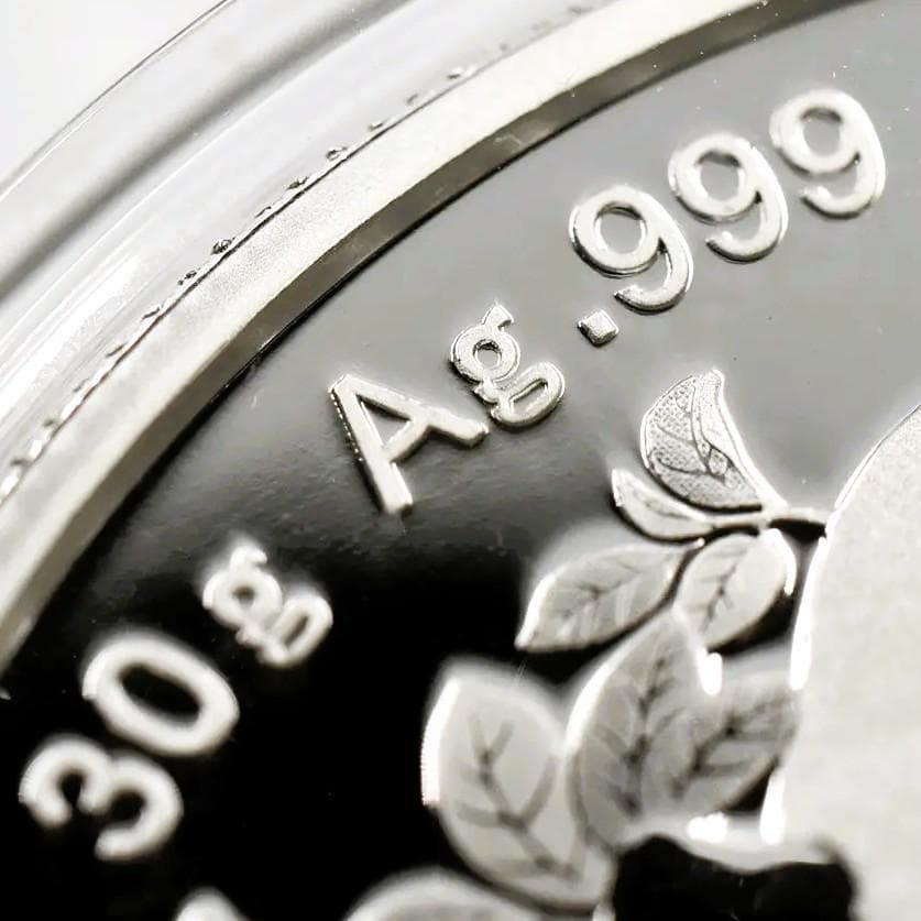 2024 (新品未使用) 中国 パンダ銀貨 30g10元 (カプセル入) 152