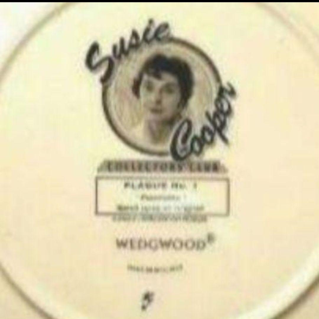 ほぼ未使用、スージークーパー、コレクターズクラブ「パノラマ」直径３１cm大皿