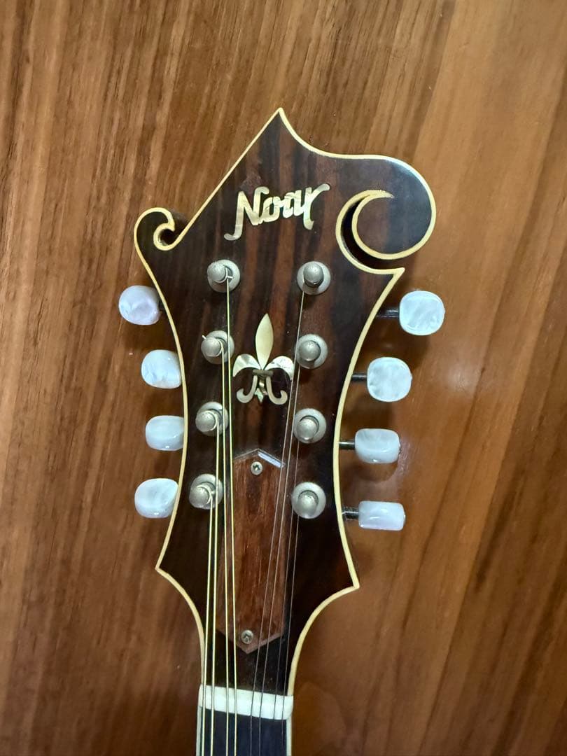 大幅値下げしました！Noar マンドリン サンバースト 8弦