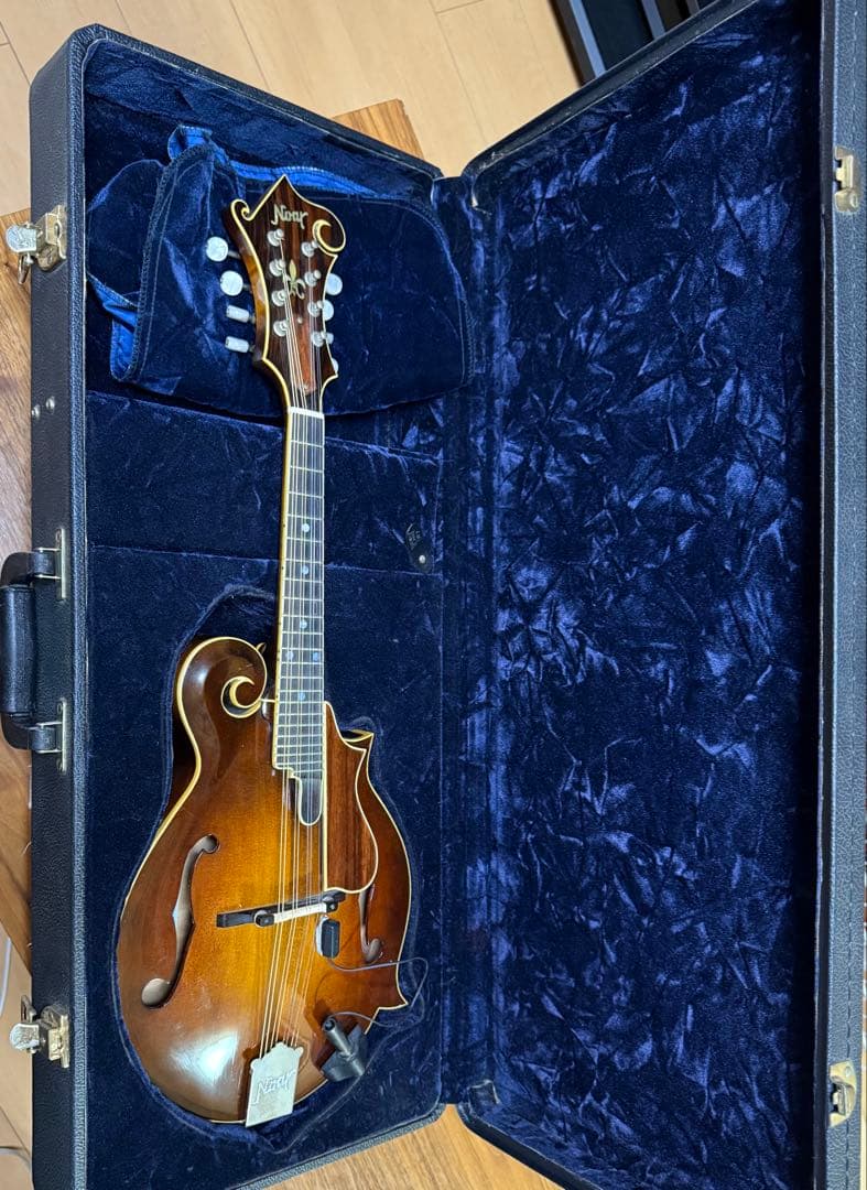 大幅値下げしました！Noar マンドリン サンバースト 8弦