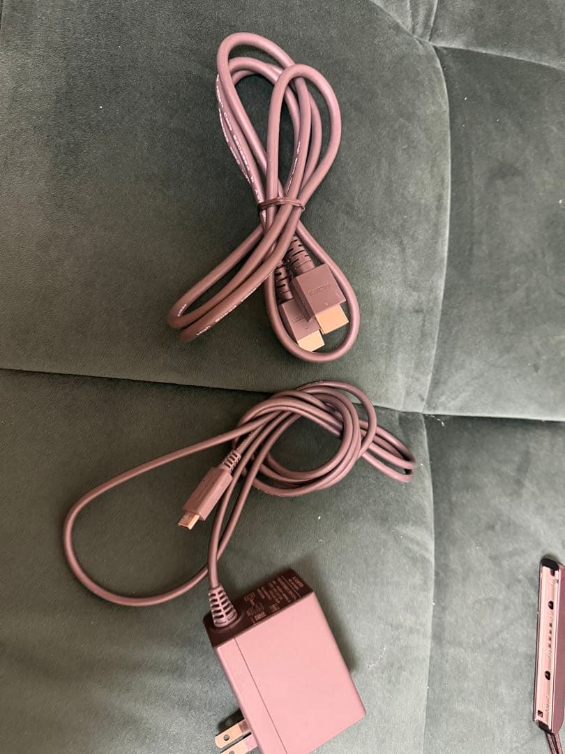 「かりん」ニンテンドーSwitch！