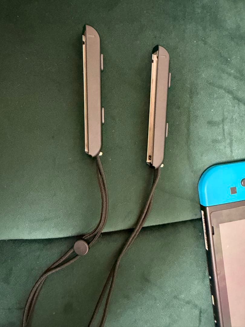 「かりん」ニンテンドーSwitch！