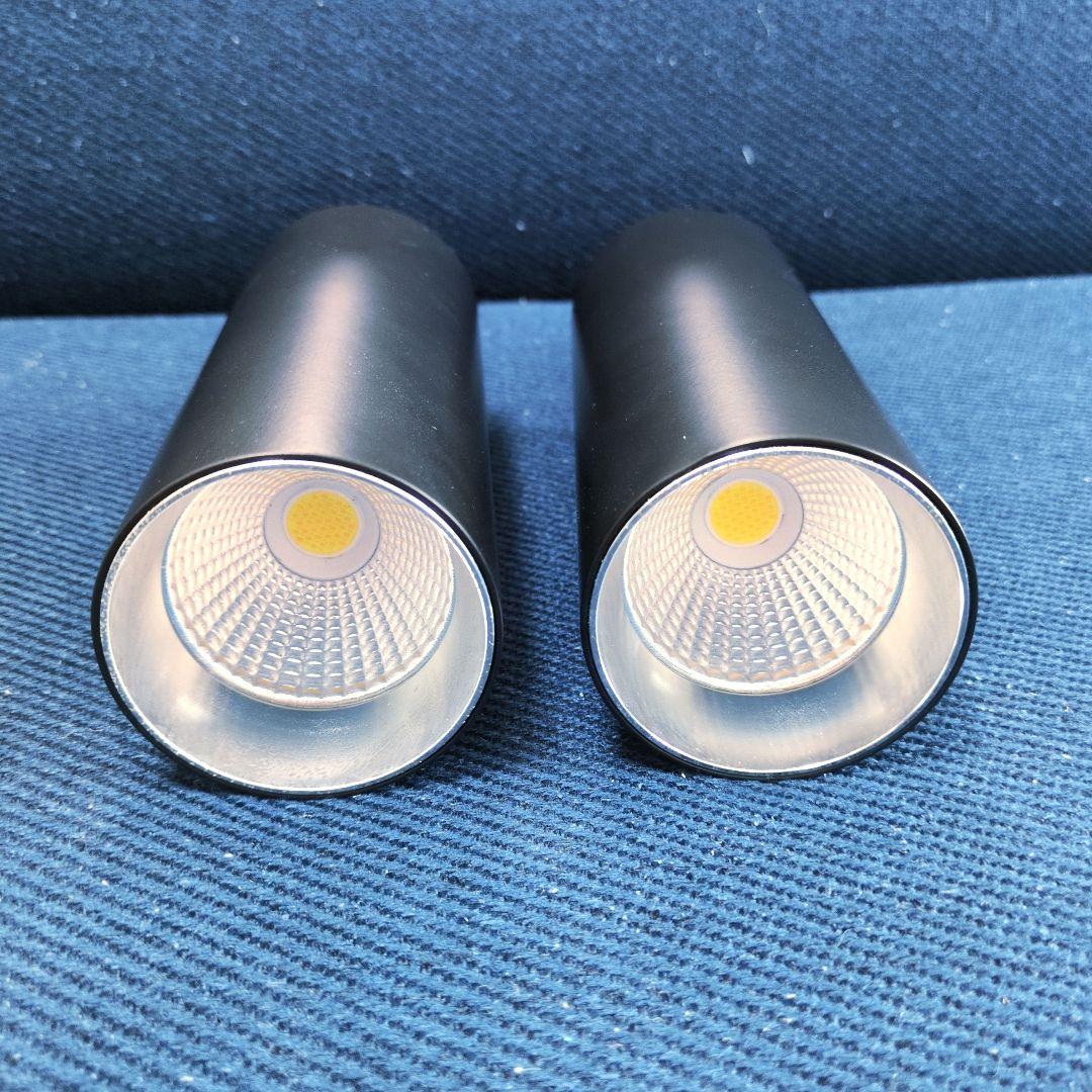 ダクトレール用 エジソンスマートスポットライト