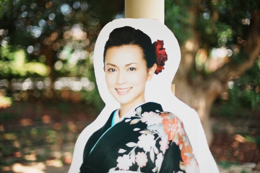 【整備＆テスト済】AI AF Nikkor 50mm F1.4 D 538