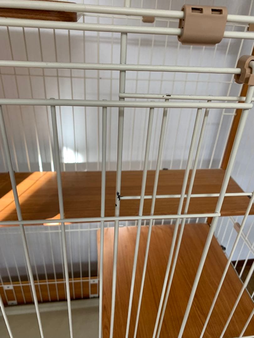 ゲージ　猫　ieneko