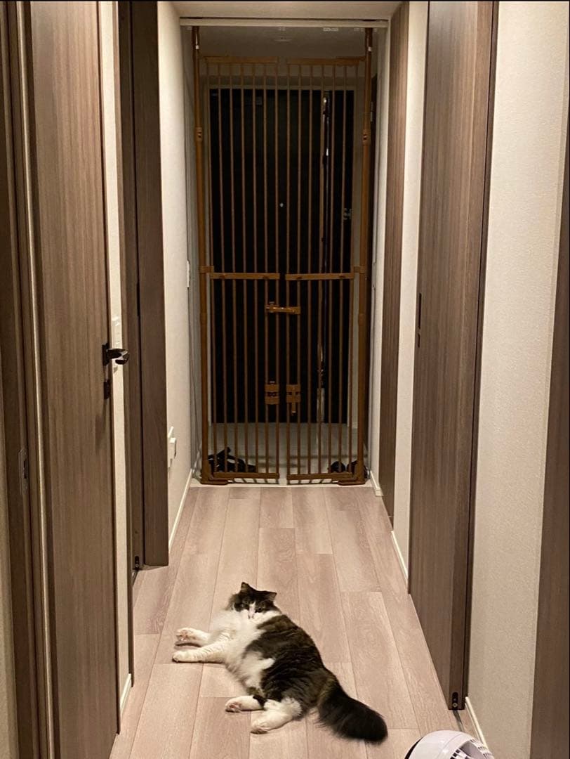 のぼれんニャンバリアフリー2ブラウン