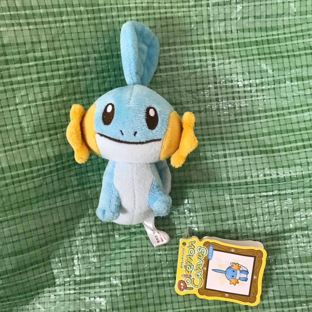 ミズゴロウ　キャンバスぬいぐるみ　ポケモンセンター