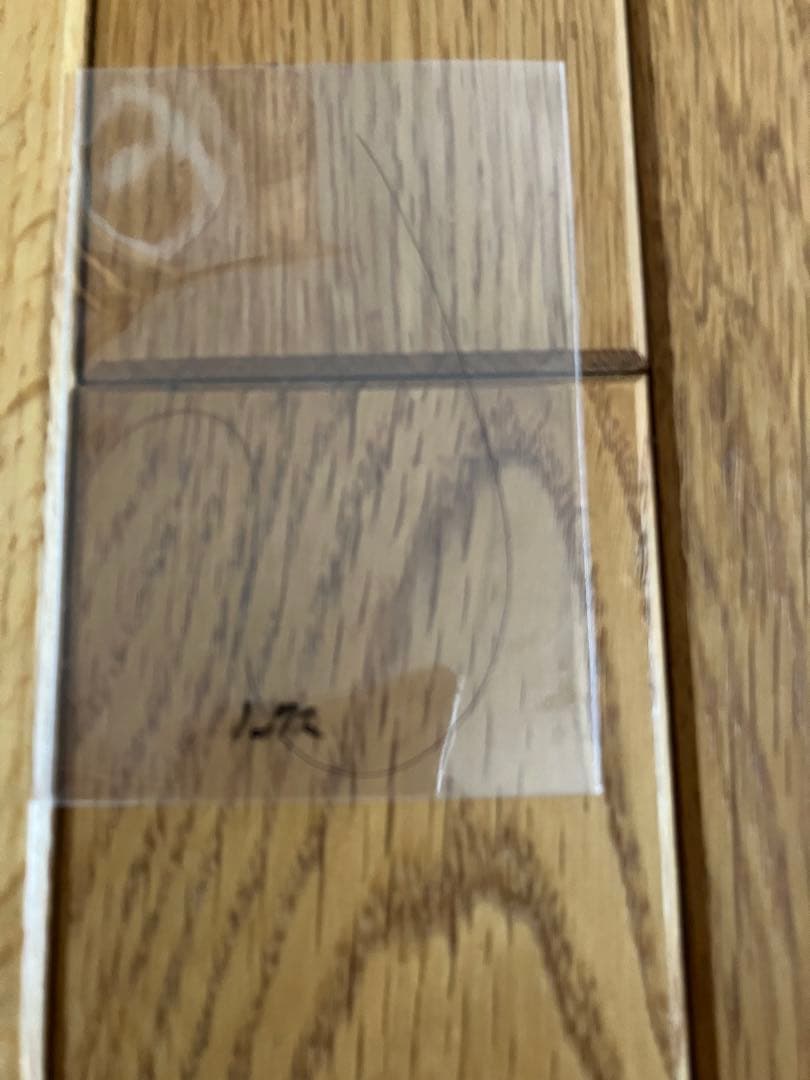 イクイノックス　実使用　調教　蹄鉄　鬣　一本付き　②