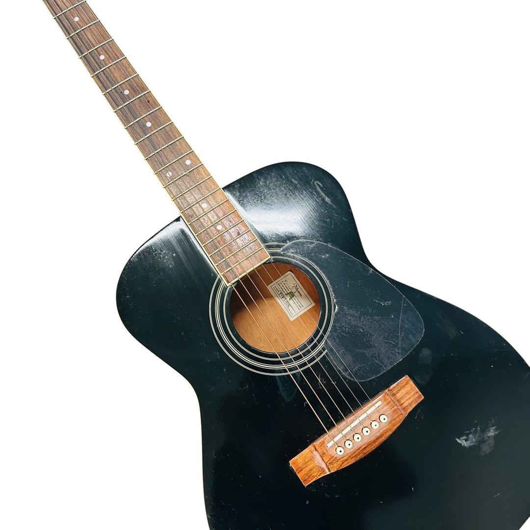 TAKAMINE タカミネ　アコースティックギター　T-F1