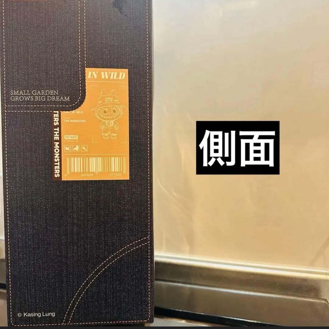 【新品・未開封】ラブブFALL IN WILD THE MONSTERS